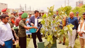 সোনারগাঁওয়ে ১০ হাজারতম চারা রোপণ করলেন নারায়ণগঞ্জ ডিসি
