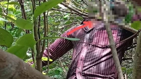 কেওড়া গাছে ঝুলছিল মধ্যবয়সী পুরুষ, পোকায় খাচ্ছিল মুখমণ্ডল