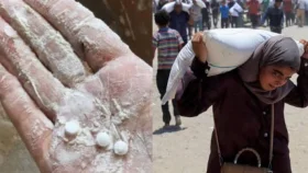 গাজায় ত্রাণের আটায় মাদকজাত ট্যাবলেট
