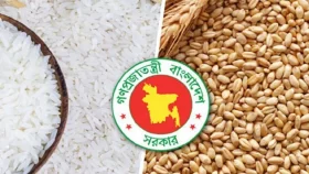 দেশে চালের মজুদ বেড়েছে, কমেছে গমের