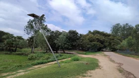 সখীপুরে অকেজো শতাধিক সোলার লাইট 