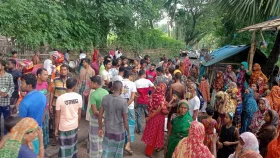 সাতক্ষীরায় পিকআপ চাপায় ভ্যানচালক নিহত