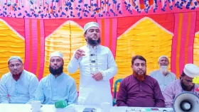 বিএনপি শুধু নির্বাচন নির্বাচন তসবি জপছে: দেলাওয়ার হোসেন