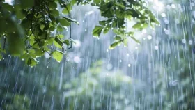 সারা দেশে আজ বজ্রসহ বৃষ্টির সম্ভাবনা