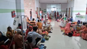 বরগুনায় ডেঙ্গুতে একদিনে সর্বোচ্চ আক্রান্তের রেকর্ড, শঙ্কায় জনস্বাস্থ্য ব্যবস্থা