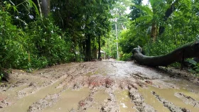 টানা বৃষ্টিতে বেহাল অবস্থা তালুকদার হাট সড়কের