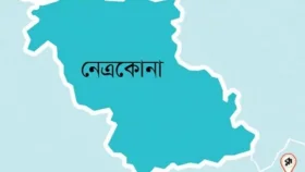 নেত্রকোনায় বিদ্যুৎস্পৃষ্টে অটোরিকশা চালকের মৃত্যু