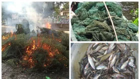 নিষিদ্ধ জালের ফাঁদে বিলুপ্তির মুখে গোপালগঞ্জের প্রাকৃতিক সম্পদ
