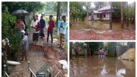 বাউফলে টানা বৃষ্টিতে কৃষি ও মৎস্য খাত বিপর্যস্ত