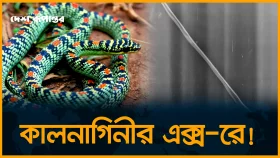 বি/ষধর কালনাগিনী সাপের এক্স-রে হলো মানুষের মতো