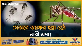 পুরুষ নয়, নারী মশাই ভয়ঙ্কর!