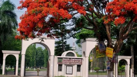 ইবিতে সাংবাদিকদের ওপর হামলা, তিন ছাত্র সংগঠনের প্রতিবাদ