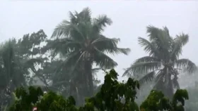 দুপুর পর্যন্ত যেসব অঞ্চলে দমকা হাওয়াসহ বৃষ্টির পূর্বাভাস