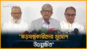 অপরাজনীতি প্রতিহত করতে সরকার উদাসীন: মির্জা ফখরুল