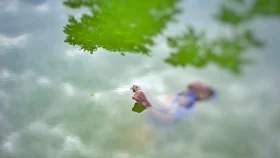 চা বাগানের লেক থেকে যুবকের মরদেহ উদ্ধার&nbsp;