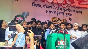 বিএনপি চাঁদাবাজ-সন্ত্রাসের দলে পরিণত হয়েছে: নাহিদ