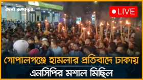 গোপালগঞ্জে হা/মলার প্রতিবাদে ঢাকায় এনসিপির ম/শাল মিছিল