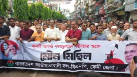 জুলাই গণঅভ্যুত্থানে নিহতদের স্মরণে ফেনীতে বিএনপির মৌন মিছিল