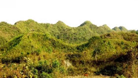 টেকনাফের পাহাড়ে ফের দুইজনকে অপহরণ