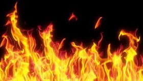 আজিমপুরে বাসে দুর্বৃত্তদের আগুন