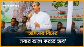 গণতন্ত্রের শক্ত ভিত প্রতিষ্ঠায় লড়াই চালিয়ে যেতে হবে: এ্যানি