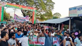 তারেক রহমানকে কটুক্তির প্রতিবাদে মতলব উত্তরে বিএনপির মিছিল