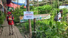দেশি-বিদেশি নানা প্রজাতির গাছগাছালিতে সেজেছে খুলনার বৃক্ষমেলা