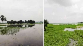 নদীর পানিতে ডুবে গেছে ঠেঙ্গামারী ও আওয়ালী বিল