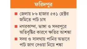 পাট নিয়ে দুশ্চিন্তায় চাষিরা