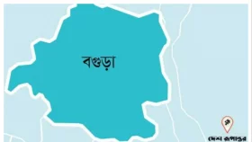 বগুড়ায় স্ত্রী আত্মহত্যার প্ররোচনার মামলায় স্বামী গ্রেপ্তার