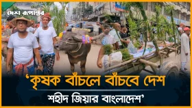 বিএনপির বিজয় র&zwnj;্যালিতে ঐতিহ্যবাহী মহিষের গাড়ি নিয়ে হাজির কৃষক