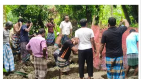 চালকের ঘুম কেড়ে নিল একই পরিবারের ৭ প্রাণ