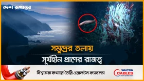 প্রশান্ত মহাসাগরের অতলে প্রাণের নতুন সন্ধান