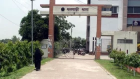 টাঙ্গাইলে সড়ক দুর্ঘটনায় নিহত ৩