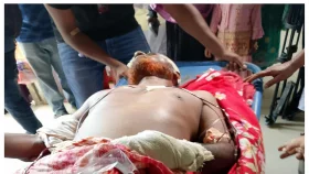 কুষ্টিয়ায় সাংবাদিকের ওপর সন্ত্রাসী হামলা