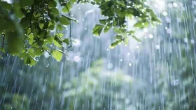 দেশজুড়ে বৃষ্টিপাতের সম্ভাবনা