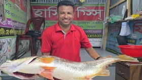 এক কোরাল বিক্রি হলো ৩৫ হাজারে