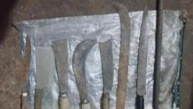 ফেনীতে অস্ত্রসহ আটক দুই ছাত্রদল নেতা