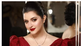 রহস্য জিইয়ে রাখলেন পরীমনি