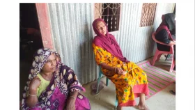 সিংগাইরে গরু চুরি করতে গিয়ে গৃহকর্তাকে খুন