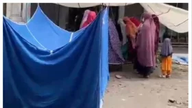 চাঁদপুরে সাপের কামড়ে গৃহবধূর মৃত্যু