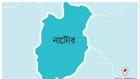 বাগাতিপাড়ায় এক রাতে দুই ভাইয়ের ভ্যান চুরি