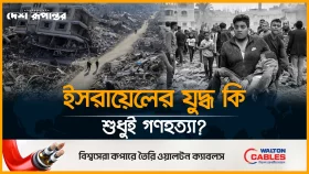 গাজা নিয়ে ইসরায়েলি ডেটাবেজের গোপন তথ্য ফাঁস