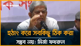 হঠাৎ করে সবকিছু ঠিক করা সম্ভব নয়: মির্জা ফখরুল