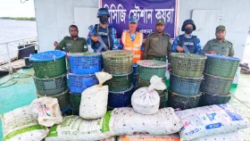 সুন্দরবনে ৮৫০ কেজি কাঁকড়া জব্দ