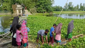 ভেঙে যাওয়া ব্রিজ সংস্কার হয়নি ৮ বছরেও, কলার ভেলাই ভরসা