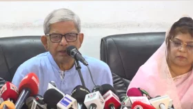 কিছু রাজনৈতিক দল বিএনপিকে হেয় প্রতিপন্ন করতে চায়