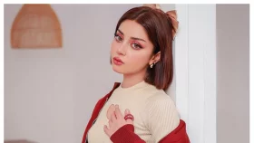 অভিনয় ছাড়ছেন আলিজাহ শাহ!
