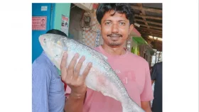 ২ কেজির ইলিশ বিক্রি হলো ৬ হাজার ৯০ টাকায়