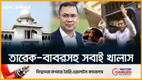 ২১ আগস্ট গ্রে/নে/ড হা/ম/লা মা/ম/লা/য় তারেক-বাবরসহ সবাই খালাস